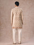 Manyavar Fawn Velvet Festivity Indo Western