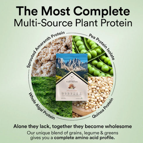 Wellbeing Nutrition Superfood Plant Protein | French Vanilla Caramel