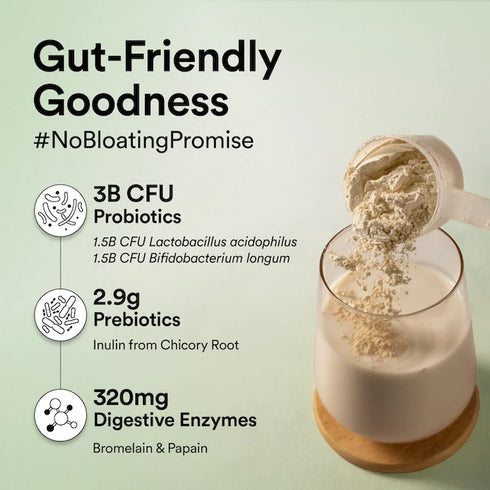 Wellbeing Nutrition Superfood Plant Protein | French Vanilla Caramel