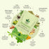 Kaayu-Rituals-Immunity-Herbal-Green-Tea
