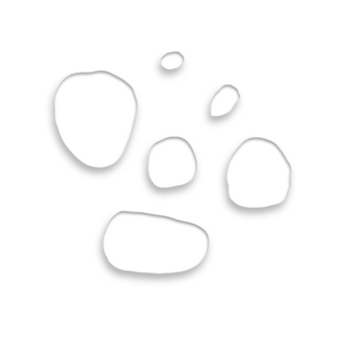 Omorfee India Rosemary Essential Oil