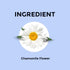 Blue Tea Chamomile Flower Tea |