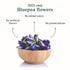 Vahdam Tea Butterfly Pea Flower Herbal Tea Tisane
