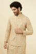 Manyavar Light Pista Chikankari Jacket