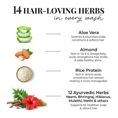 Just Herbs Smooth & Shine Shampoo for Dry and Frizzy Hair