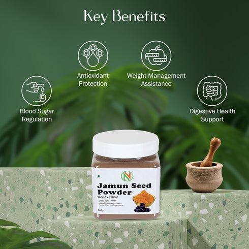 NatureVit Jamun Seed Powder