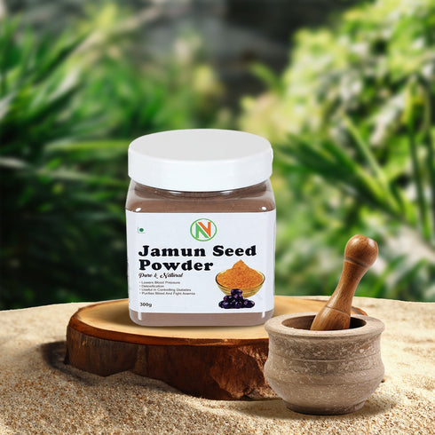 NatureVit Jamun Seed Powder