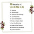 Keya Seth Aromatherapy Jojoba Oil for Face, Body & Hair Moisturizing