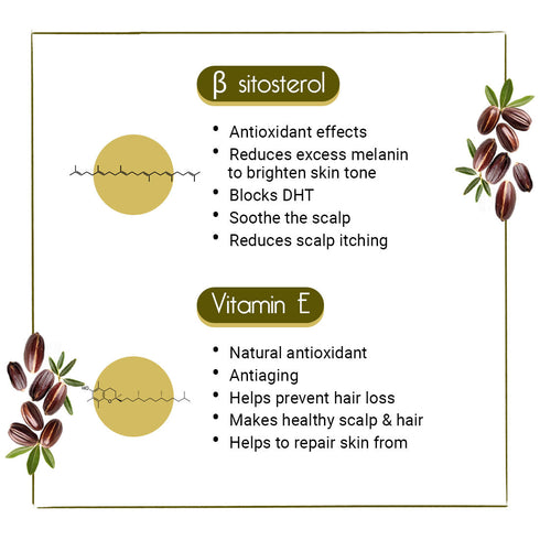 Keya Seth Aromatherapy Jojoba Oil for Face, Body & Hair Moisturizing