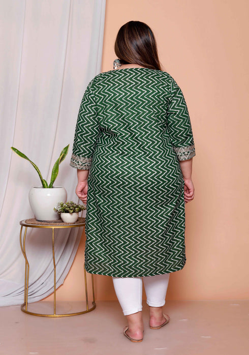 Miravan Womens Plus size Green Zigzag Print Embroidery Rayon Straight Kurti