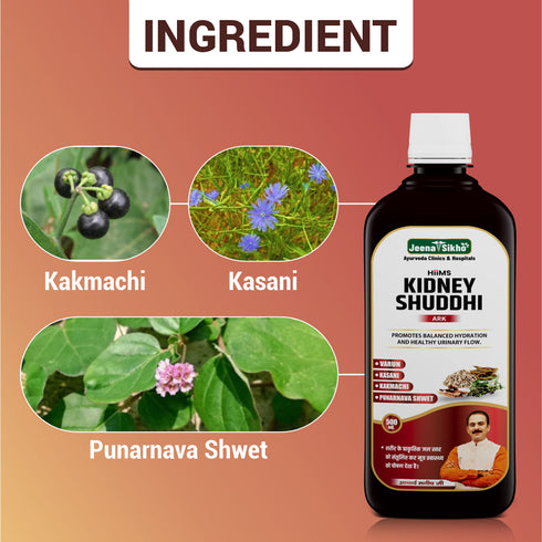 Jeena Sikho Kidney Shuddhi Ark Ayurvedic Kidney and Detox Support