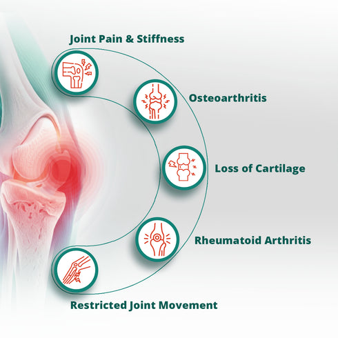 Healing Pharma Orthojoint Pro Advanced Joint Health Tablets