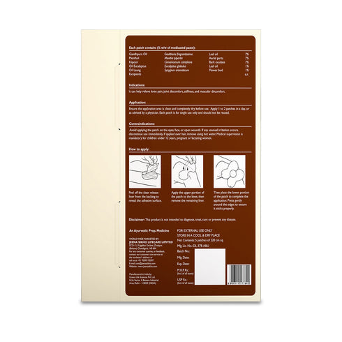 Jeena Sikho Knee Pain Relief Patch