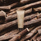82°E Licorice Beam | SPF 40 PA+++