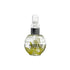 Shills Professional Cuticle Oil 30Ml
