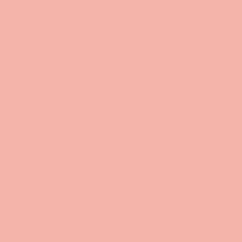 Dazller Cosmetics Smoochy Lip Gloss