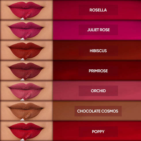 Parul Garg Beauty The Ultimate Collection 14 Bestselling Silk Mattes