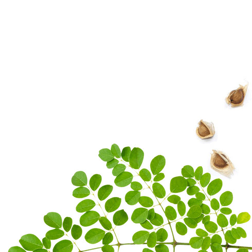 Daughter Earth 100% Vegan Vitamin-E Lip & Cheek Tint | Original Pink