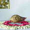 Samskara Home Lakshmi Vishnu Shankh