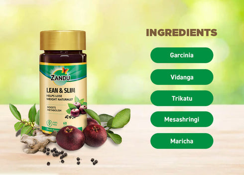 Zandu Lean & Slim 60 Capsule