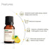 Vasuestore Vasu Aromatics Combo of Basil Peppermint Lemon Lemongrass Essential Oil