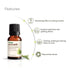 Vasuestore Vasu Aromatics Lemongrass Essential Oil 100 Pure and Natural