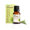 Vasuestore Vasu Aromatics Lemongrass Essential Oil 100 Pure and Natural