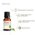 Vasuestore Vasu Aromatics Combo of Basil Peppermint Lemon Lemongrass Essential Oil