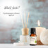 Vasuestore Vasu Aromatics Combo of Basil Peppermint Lemon Lemongrass Essential Oil