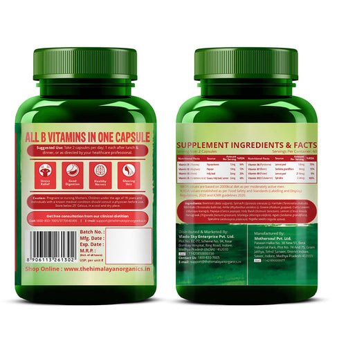 Himalayan Organics Methyl Cobalamin Vitamin B12 Tablets
