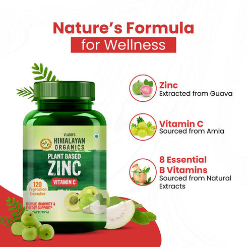 Himalayan Organics Plant-Based Vitamin C + Zinc