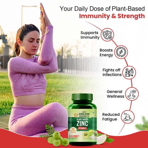 Himalayan Organics Plant Based Vitamin C + Zinc Double Immune Support