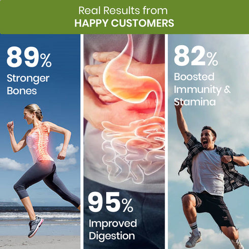 Himalayan Organics Multivitamin With Probiotics Vegetarian Tablets