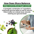 Himalayan Organics Gluco Balance Tablets
