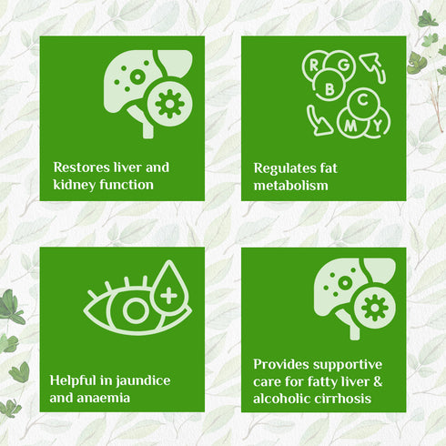 Organic India Liver Kidney Care