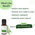 Mystiq Living Originals Tea Tree Essential Oil