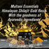 Multani Pharmaceuticals Limited Multani Shilajeet Gold Capsule & Himalayan Shilajit Gold Resin Combo For Youthful Living Stamina & Endurance Boosts Muscle Repair & Recovery Relieves Joint Pain 70 Folic Acid