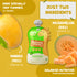 Rorosaur Muskmelon Mango Baby Puree