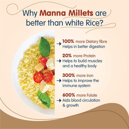 Manna Foods Little Millet