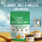Troovy The Healthy Millet Dosa