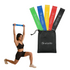 Wiselife HQ TPE Resistance Mini Band