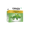 Girnar Green Tea Mint Tea Bags