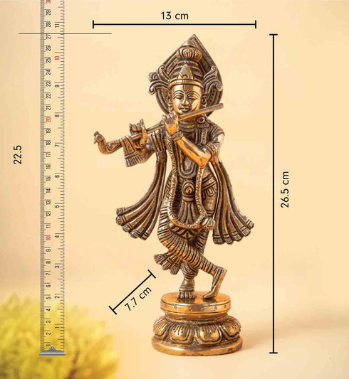 Samskara Home Murali Krishna Brass Idol