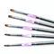 Shills Professional Nail Art Brush Set Silver 6Pcs-NB-21