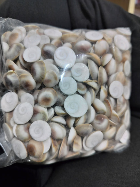 Gomati Chakra MEDIUM to Small per Piece