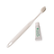 Natuur Daito Tooth Brush Transparent (Made in Japan)