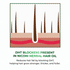Niconi Herbal Hair Oil (Comb Applicator) 200ml