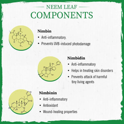 Keya Seth Aromatherapy Neem Leaf Powder Face Pack for Women & Men