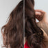 Theearthcollective in Nourishing Hair Cleanser Shampoo Goji Berry Brahmi & Alfalfa