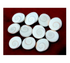 Gomati Chakra MEDIUM to Small per Piece